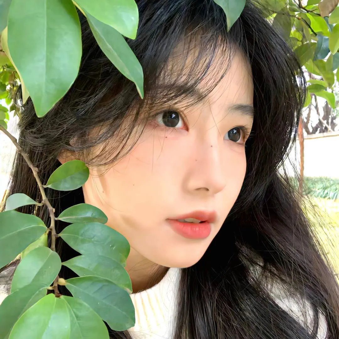 出水美人