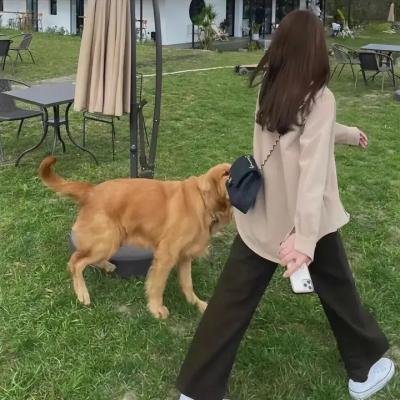 歹徒们